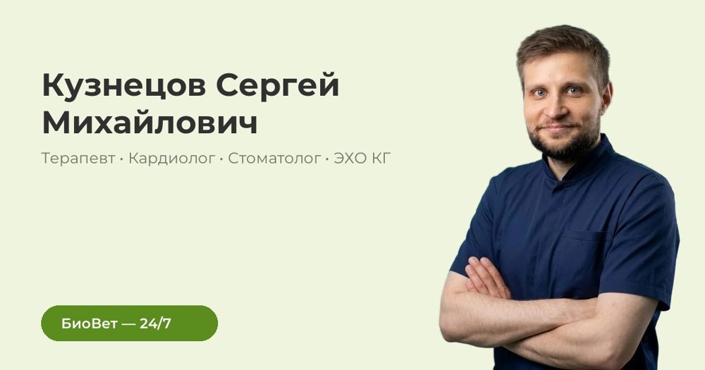 Фото «Кузнецов Сергей Михайлович»