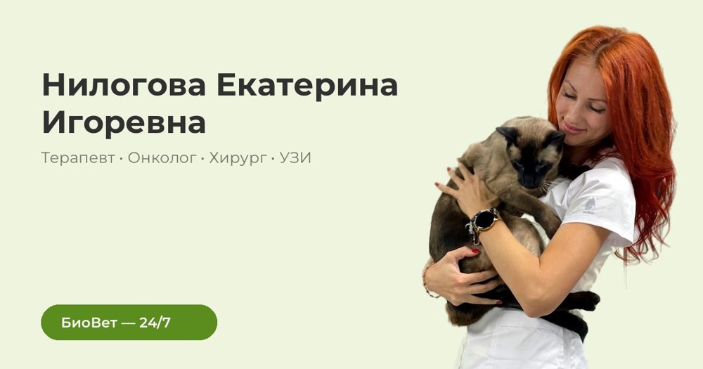 Фото «Нилогова Екатерина Игоревна»