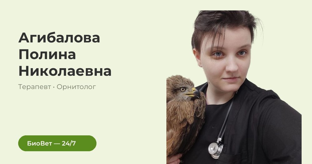 Фото врача Агибалова Полина Николаевна