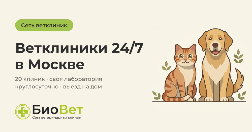 Фото врача Ишина Карина Антоновна