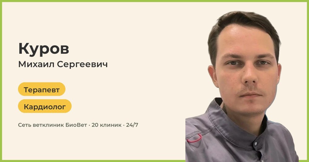 Фото врача Куров Михаил Сергеевич
