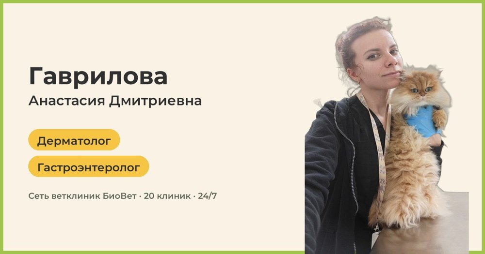 Фото врача Гаврилова Анастасия Дмитриевна