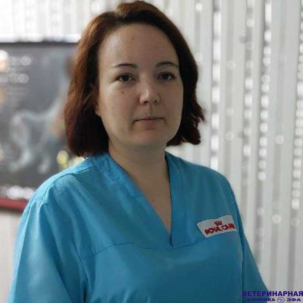 Фото «Жгутова Наталья Юрьевна»