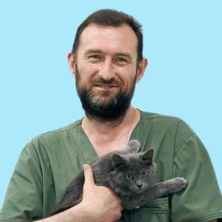 Фото врача Хафизов Марат Дамирович