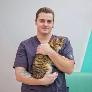 Фото врача Морозов Андрей Алексеевич