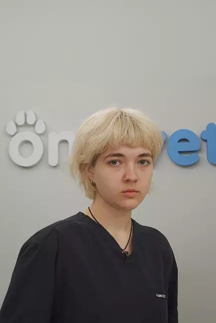 Фото врача Малярова Алиса