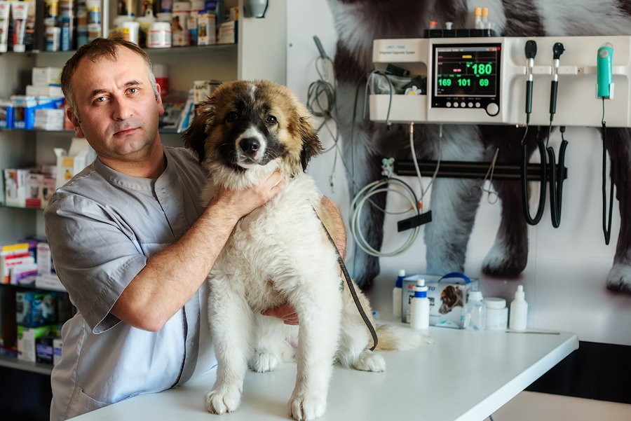 Фото «Гамзулин Константин Геннадьевич»