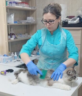 Фото врача Алькинская Наталья Григорьевна