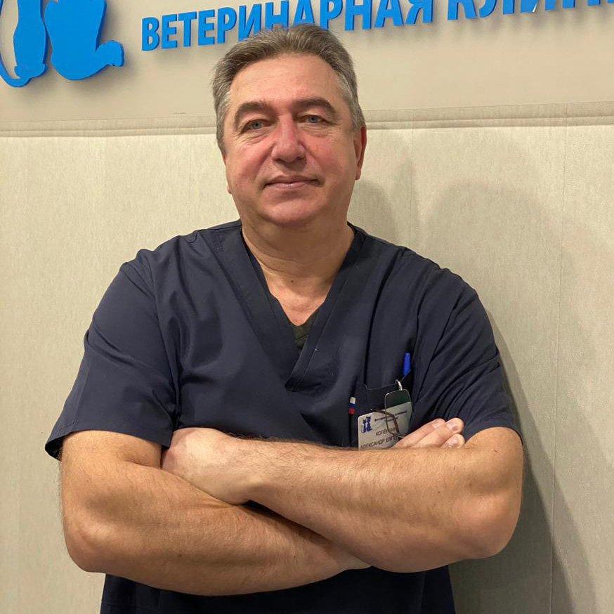 Фото врача Копёнкин Александр Евгеньевич