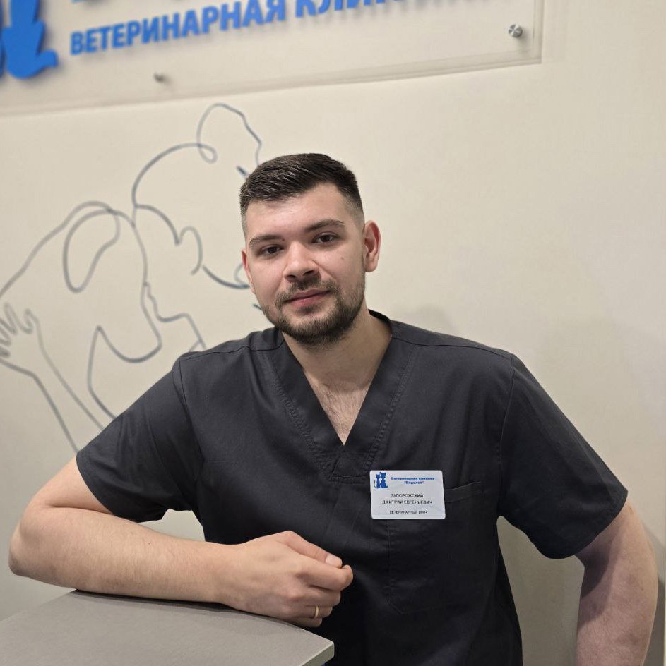 Фото «Запорожский Дмитрий Евгеньевич»