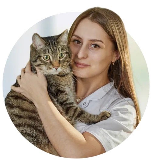 Фото врача Мазурова Маргарита Темуровна