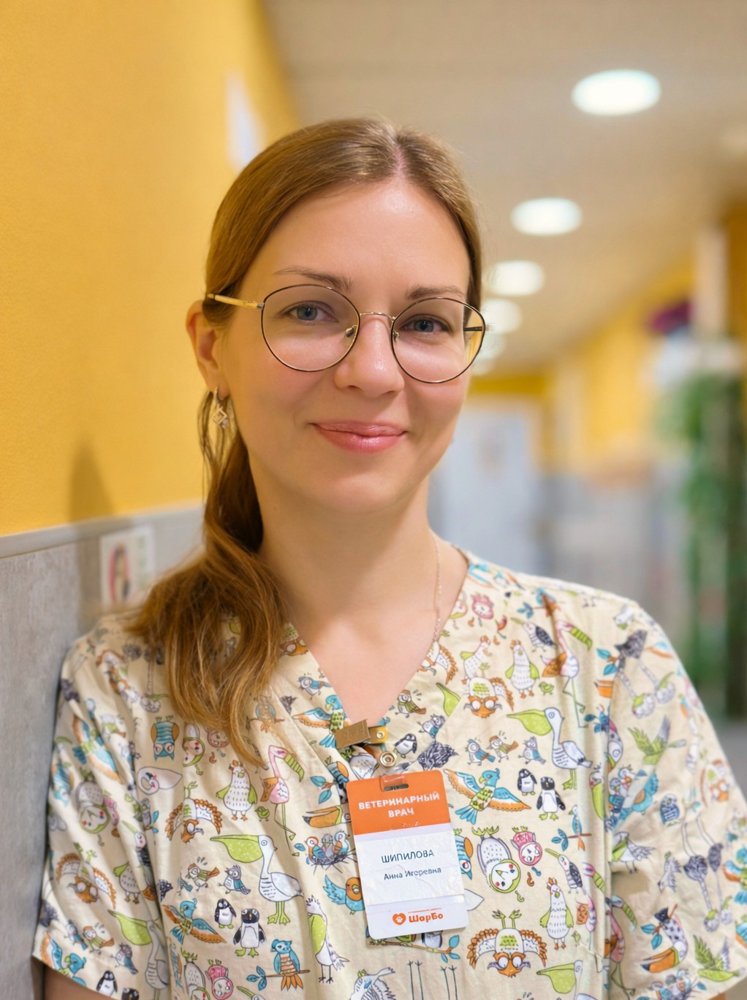 Фото «Шипилова Анна Игоревна»