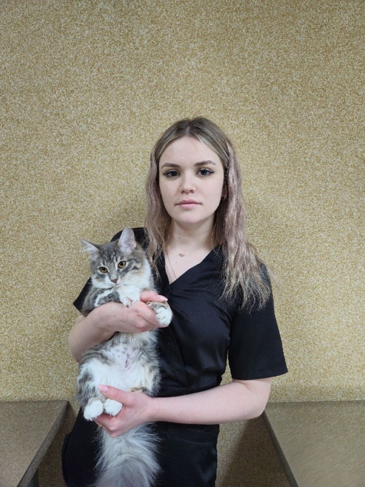 Фото врача Кондрахина Марина Игоревна