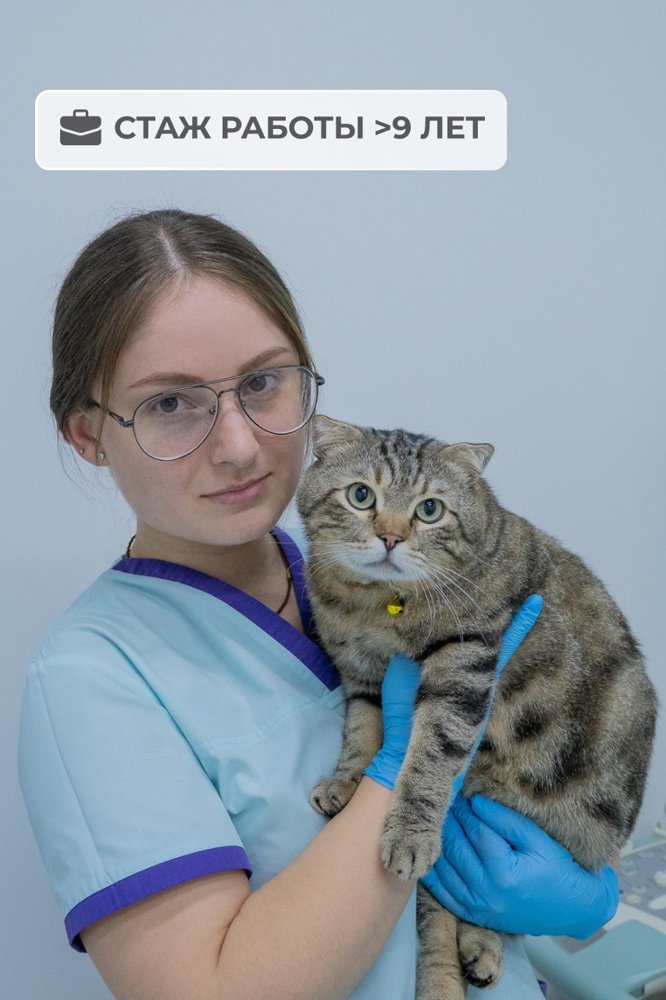 Фото врача Егорова Алёна Вячеславовна