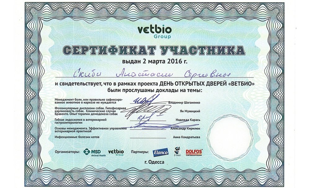 Фото «Скиба Анастасия»