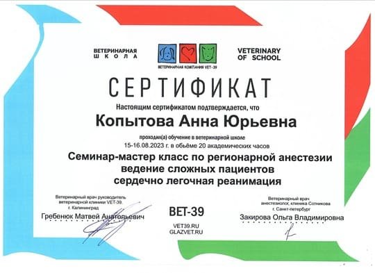 Фото «Копытова Анна»
