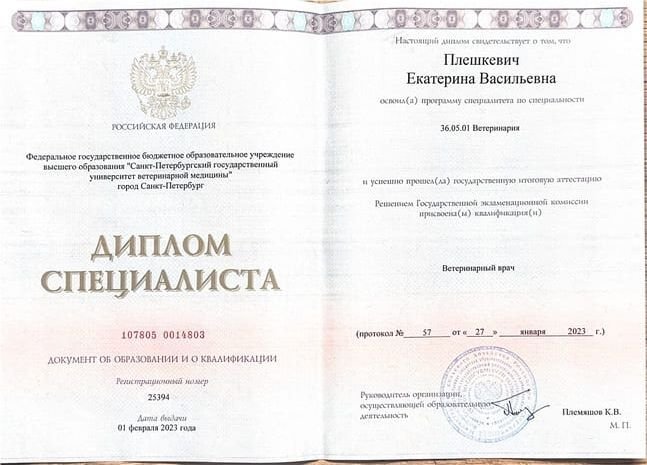 Фото «Плешкевич Екатерина»