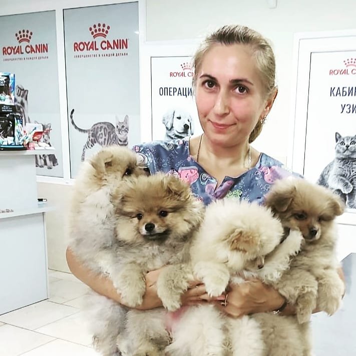 Фото «Аксенова Анжела Владимировна»