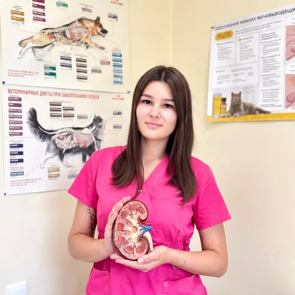Фото «Хайруллина Аделина Мансуровна»