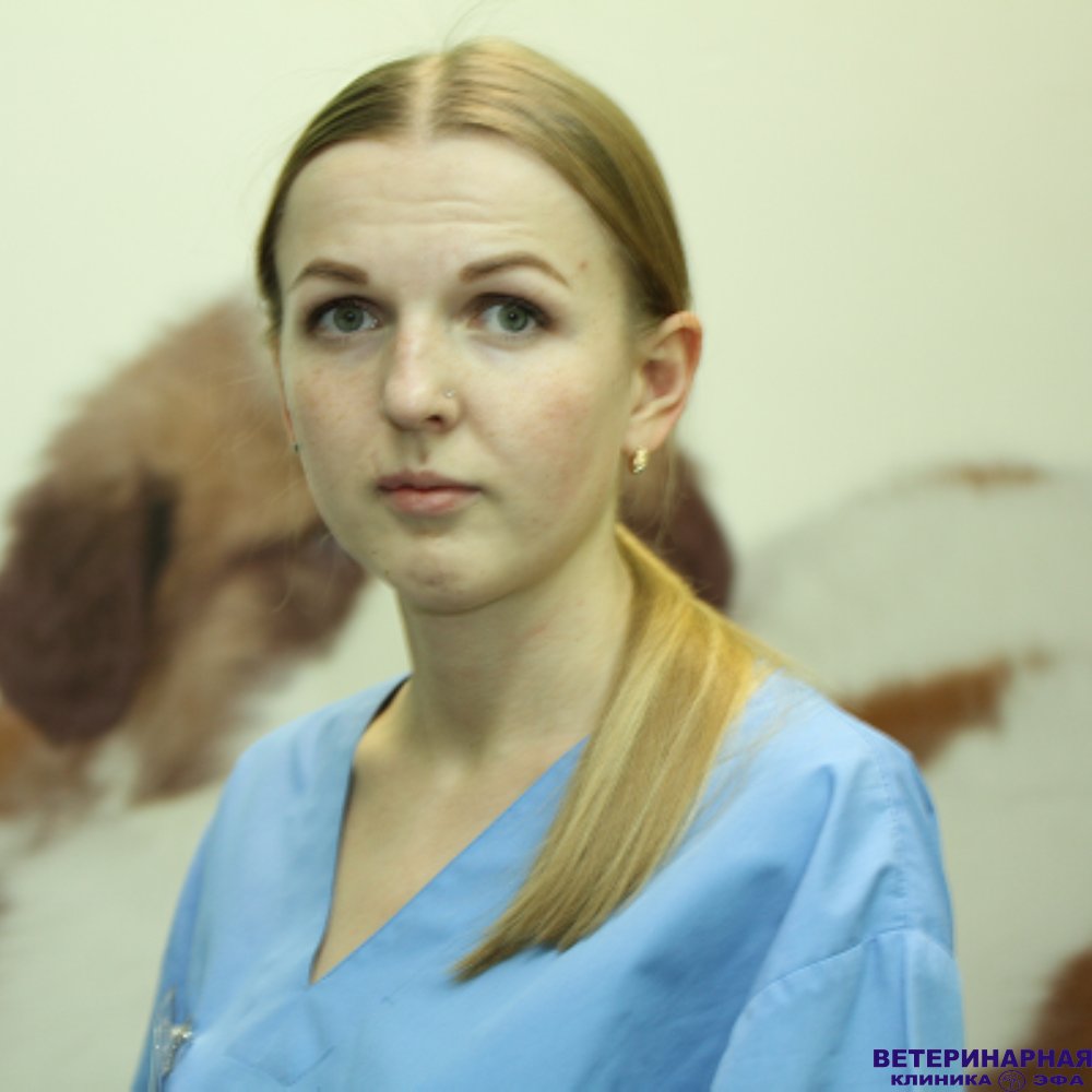 Фото врача Шестакова Александра Сергеевна