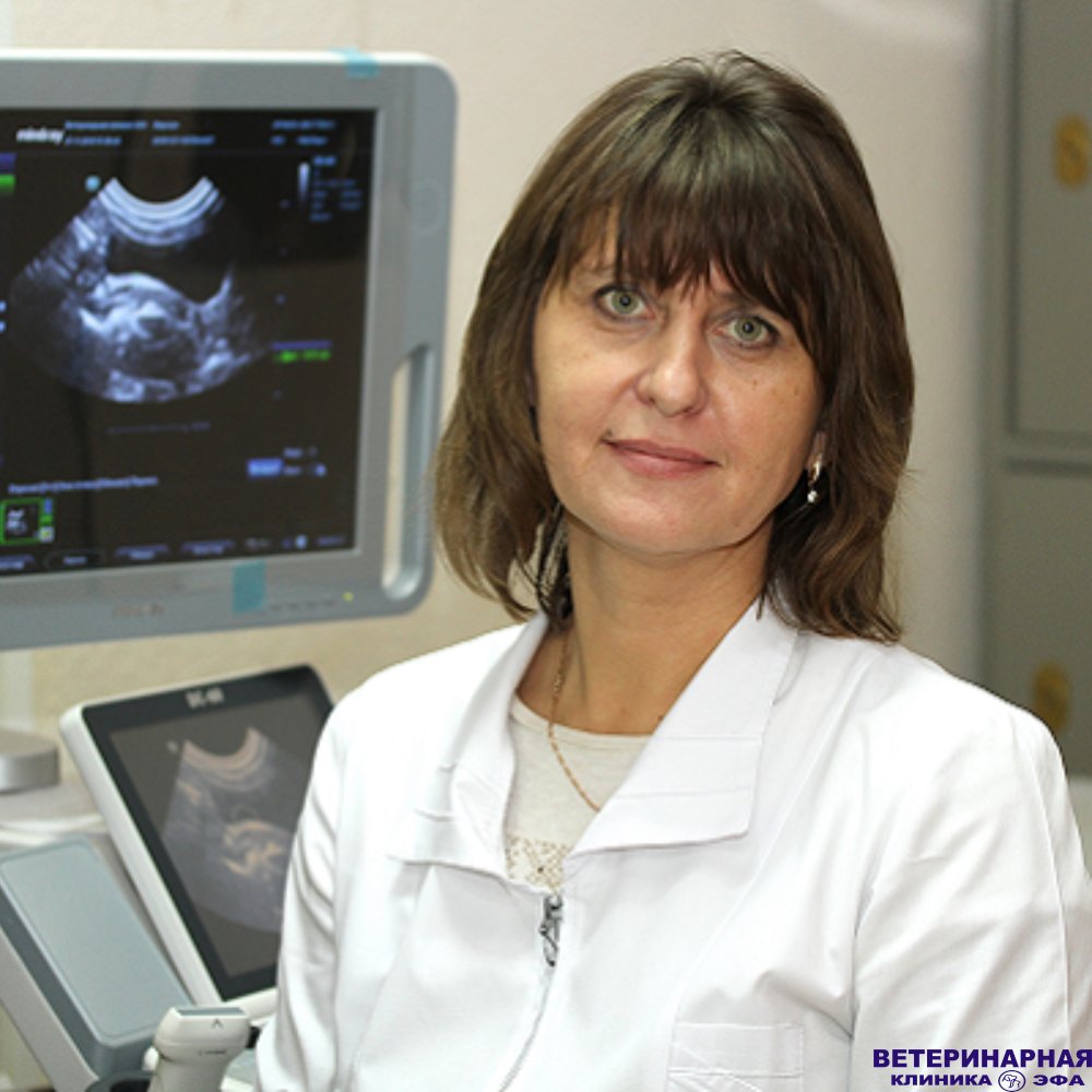 Фото врача Котомцева Светлана Сергеевна