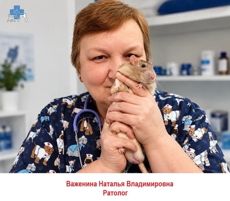 Фото врача Важенина Наталья Владимировна