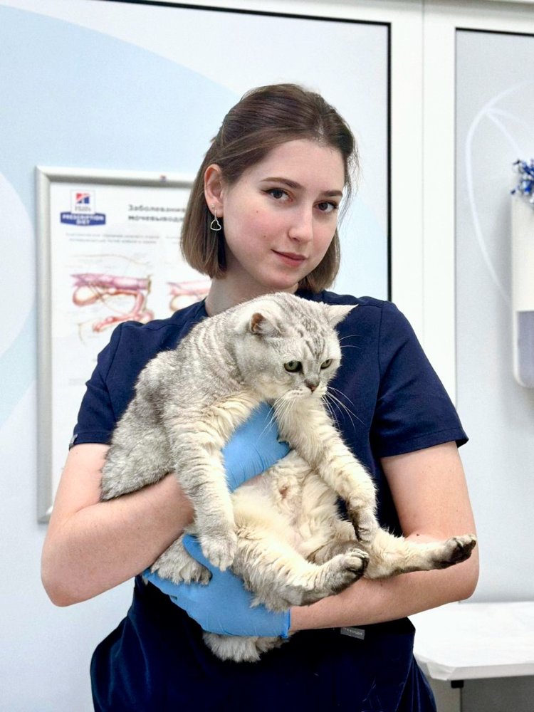 Фото врача Евстигнеева Алина Николаевна