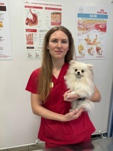 Фото врача Анкудова Дарья Анатольевна