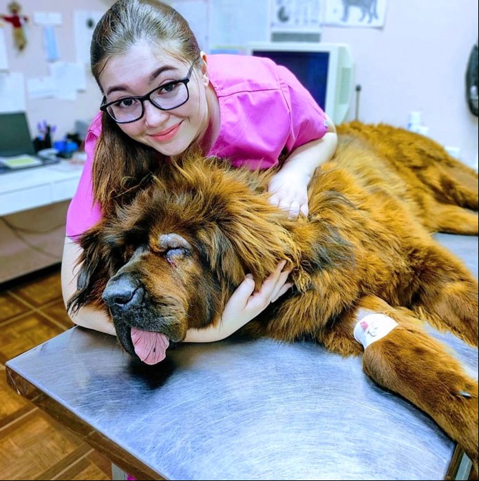 Фото врача Бирюкова Дарья Эдуардовна