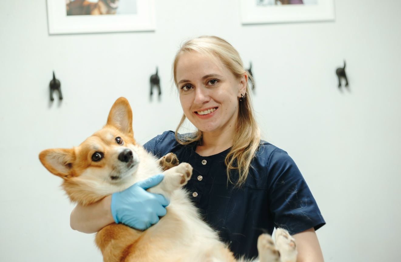 Болгова Марина Сергеевна