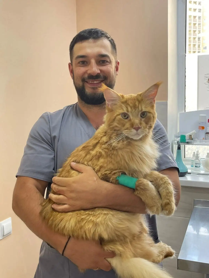 Власов Кирилл Анатольевич