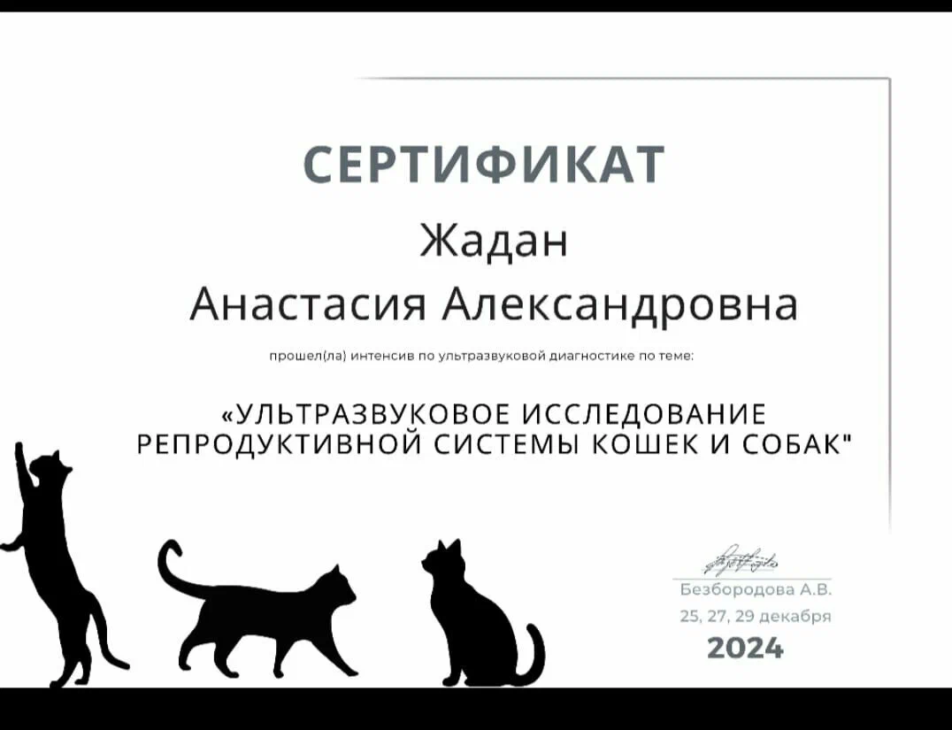 Документ или сертификат