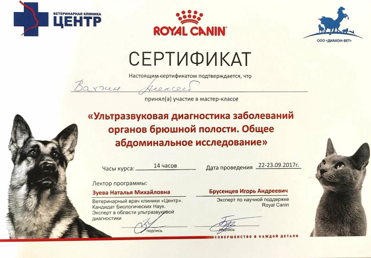 Документ или сертификат