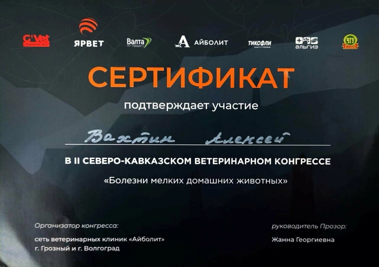 Документ или сертификат