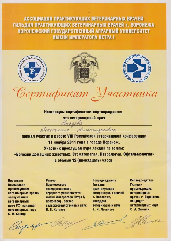 Документ или сертификат