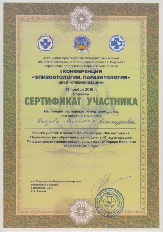 Документ или сертификат