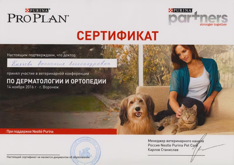 Документ или сертификат