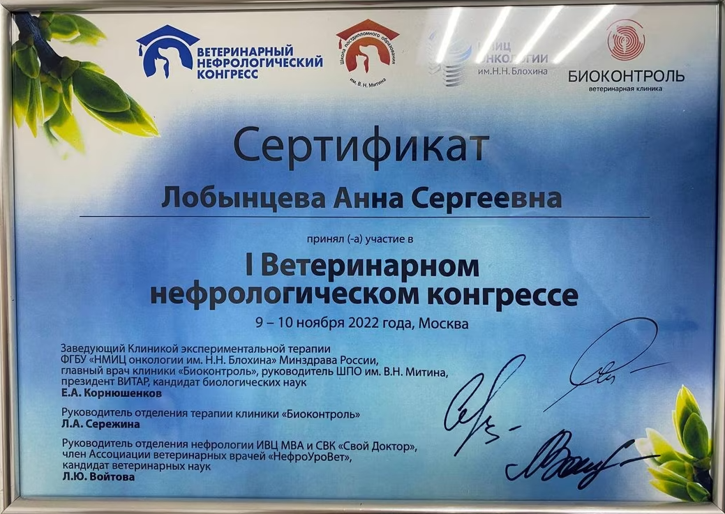 Документ или сертификат