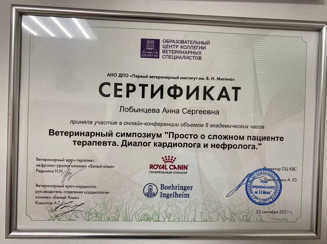 Документ или сертификат