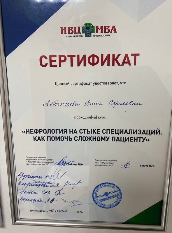 Документ или сертификат