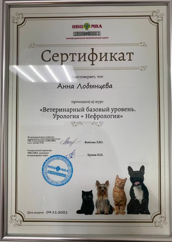 Документ или сертификат