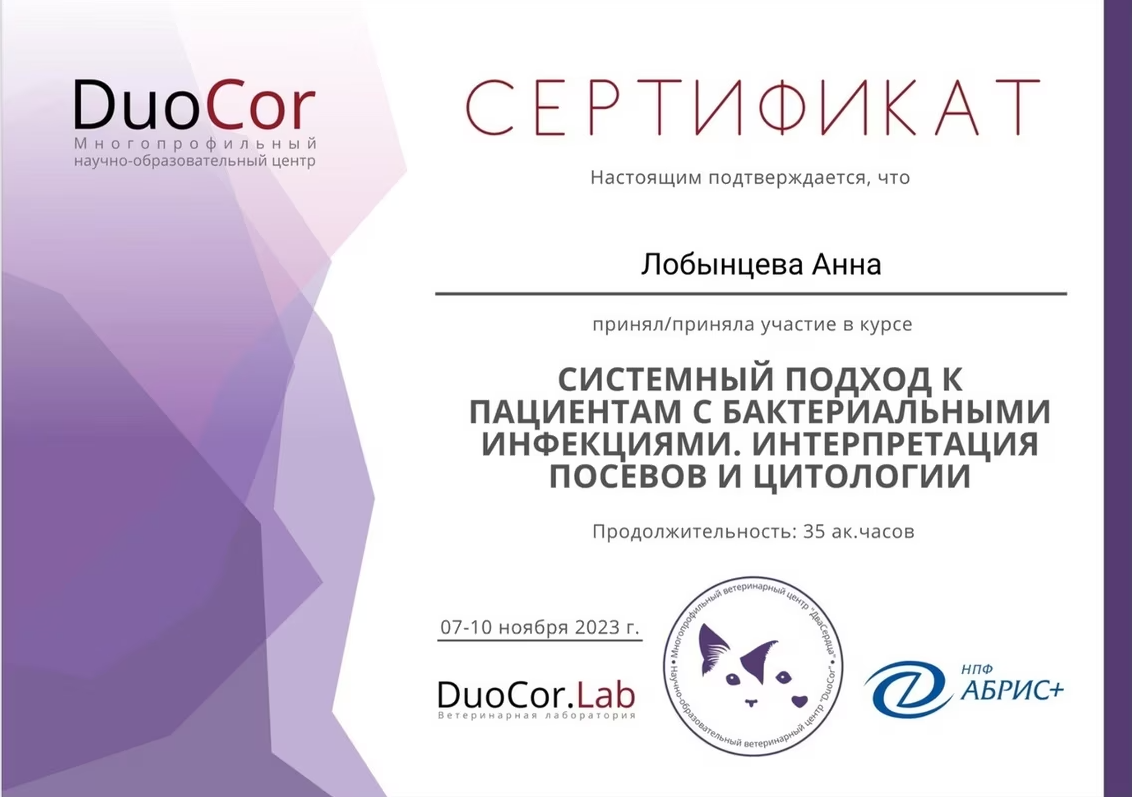 Документ или сертификат