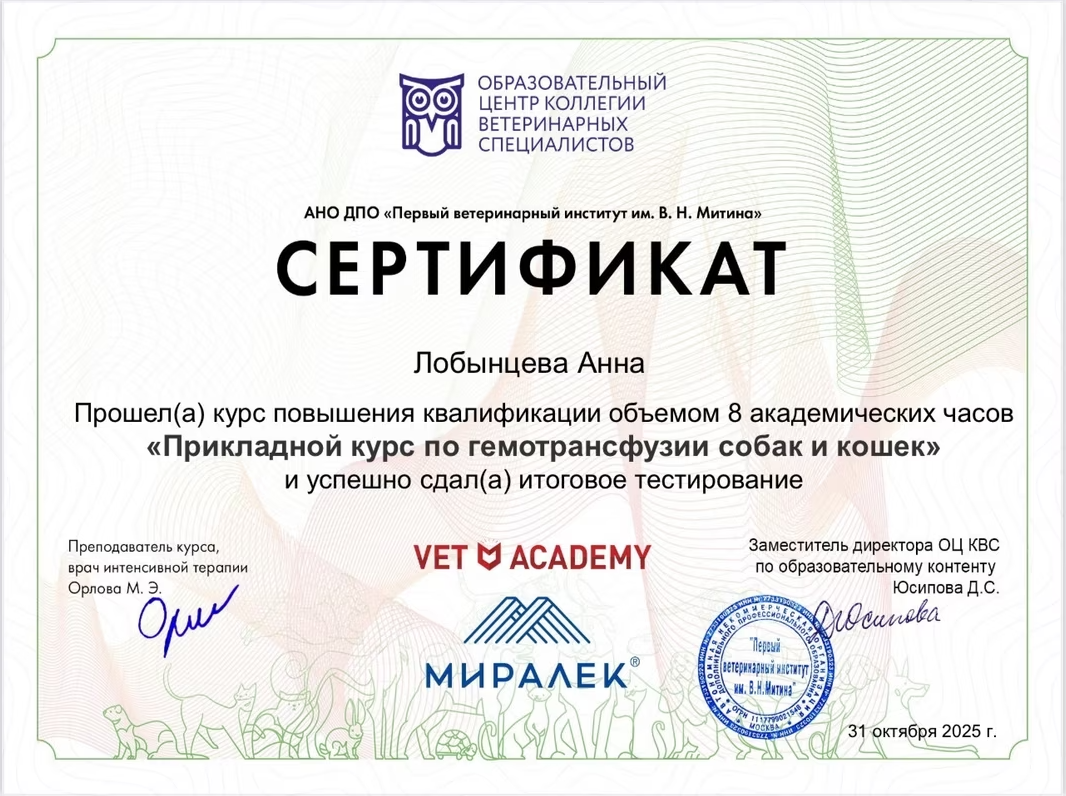 Документ или сертификат