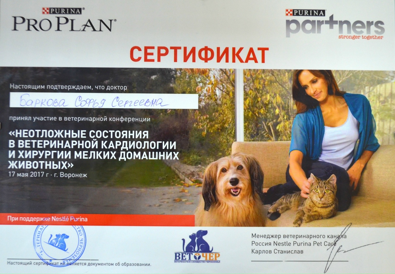 Документ или сертификат