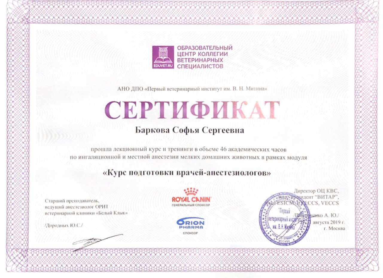 Документ или сертификат