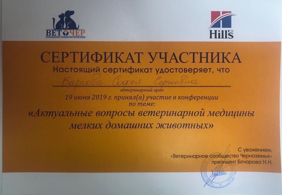 Документ или сертификат