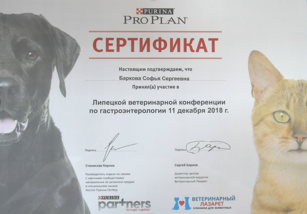 Документ или сертификат