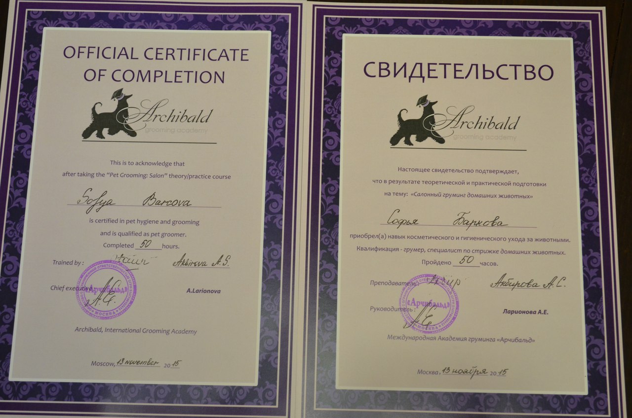 Документ или сертификат