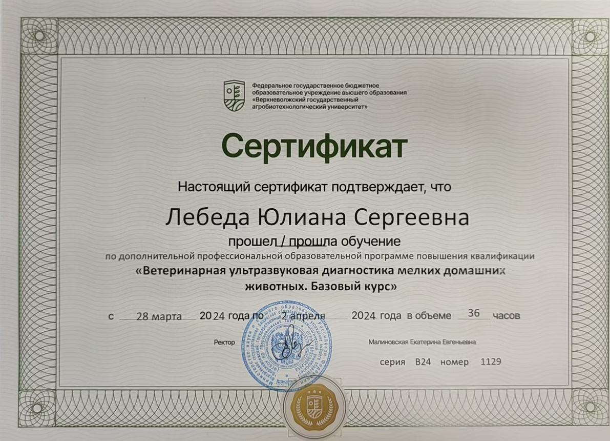 Документ или сертификат