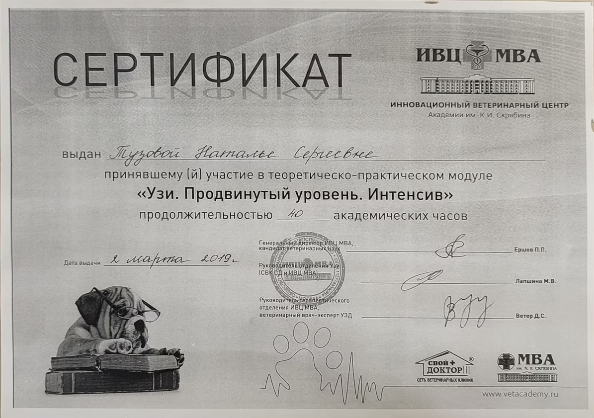 Документ или сертификат
